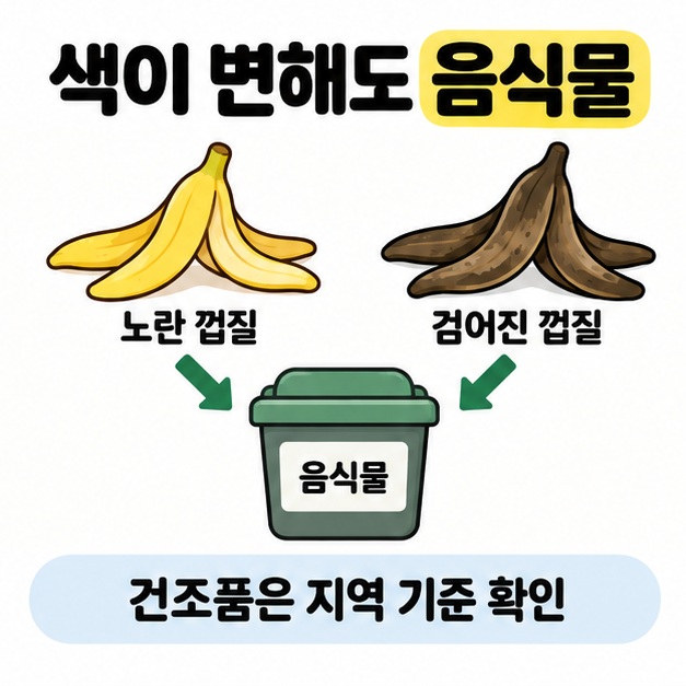 노란 껍질과 검어진 껍질을 모두 음식물 수거용기로 연결하고 건조품은 지역 기준을 확인하도록 안내한 도식