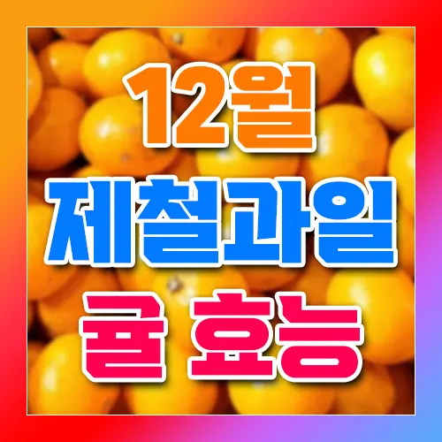 12월 제철과일 귤 효능