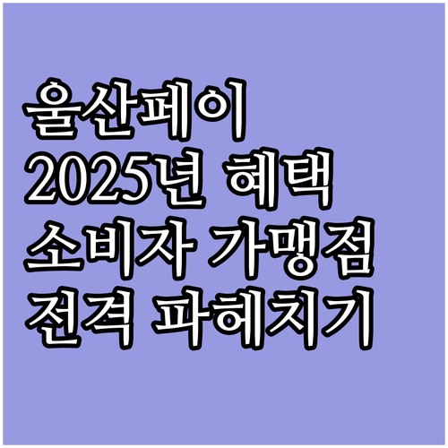 울산페이 2025년 소비자, 가맹점 ..
