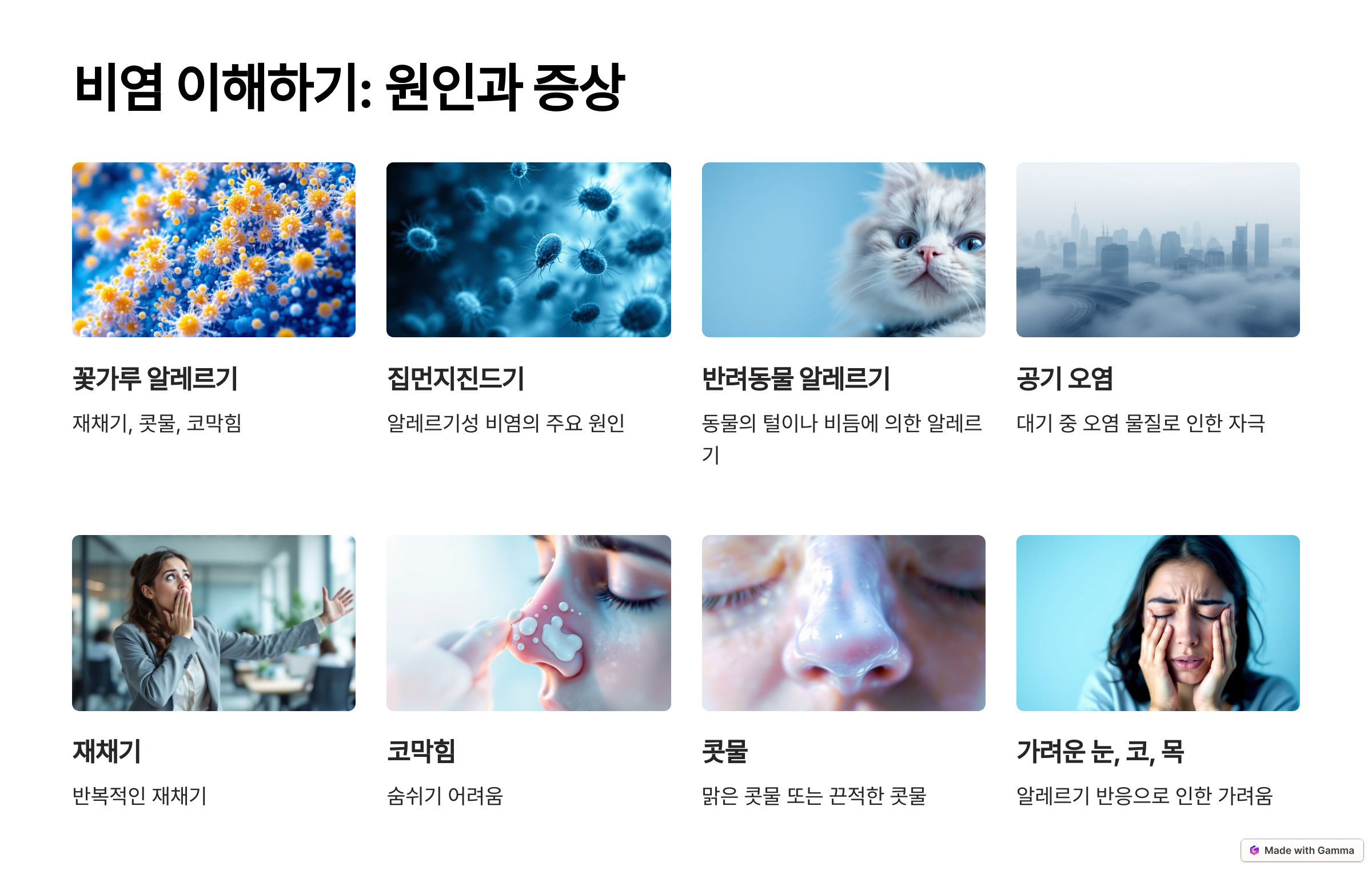 비염 이해하기: 원인과 증상