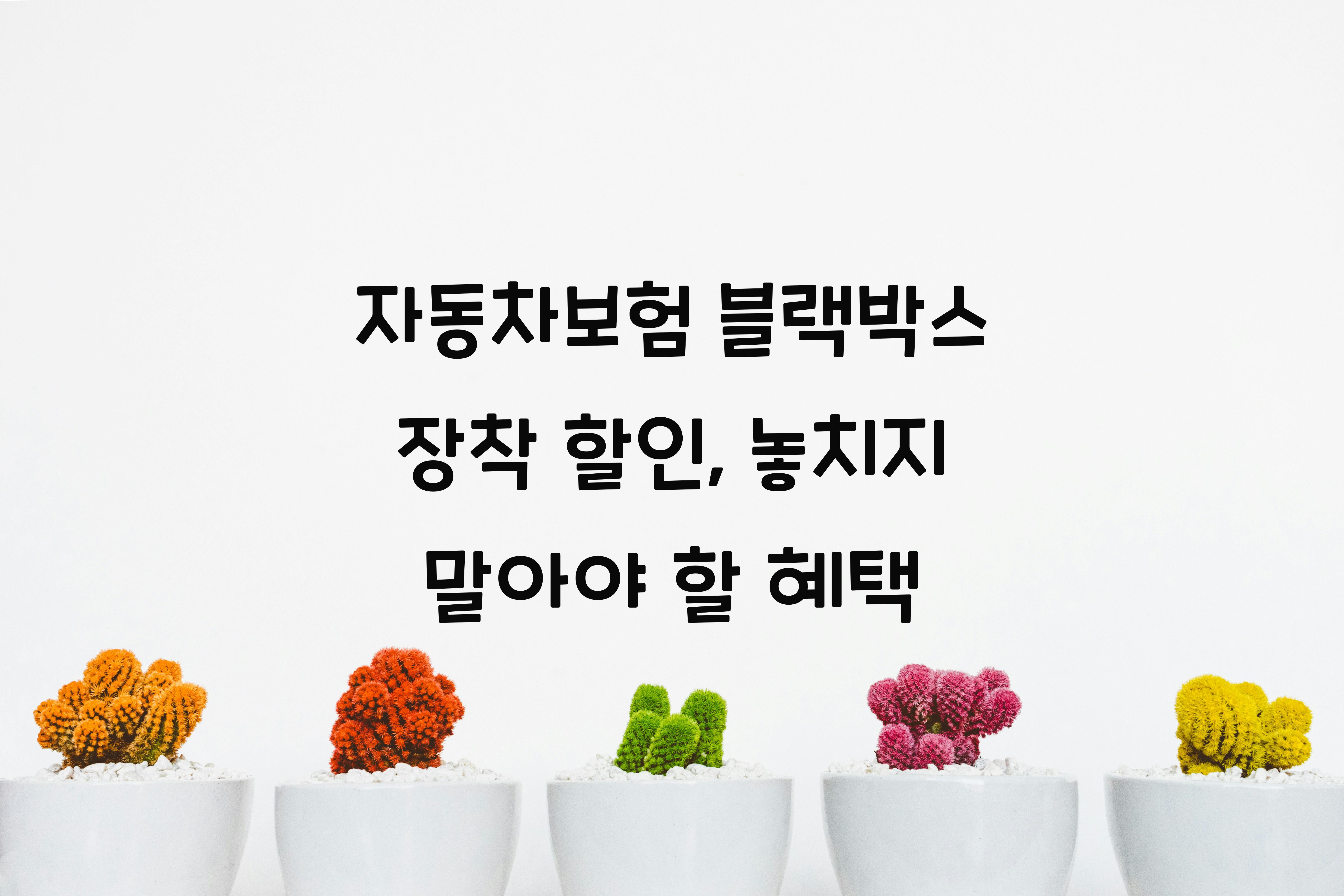 자동차보험 블랙박스 장착 할인