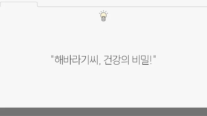 해바라기씨 효능 부작용 칼로리