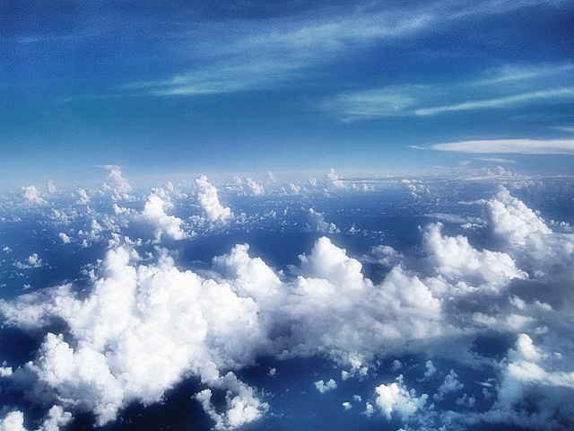 유니클로 매장 찾기