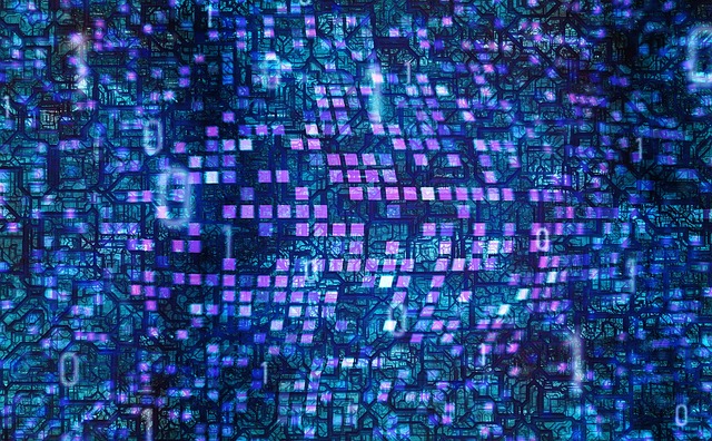 쿠팡 개인정보 유출 즉시 대응방법