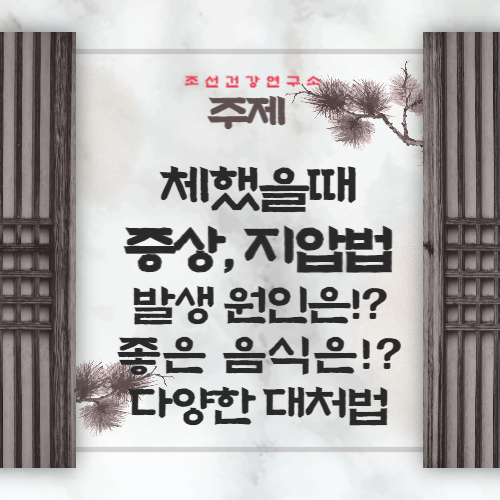 체했을때 증상 체했을때 지압법, 먹으면 좋은 음식 빨간양배추 요리