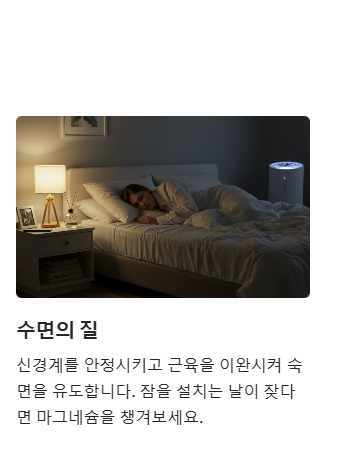 마그네슘과 건강 관리