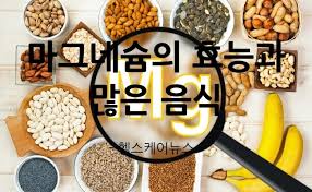 수면제 없이도 잘 자는 법&amp;#44; 자연 수면 보조제와 수면음식 