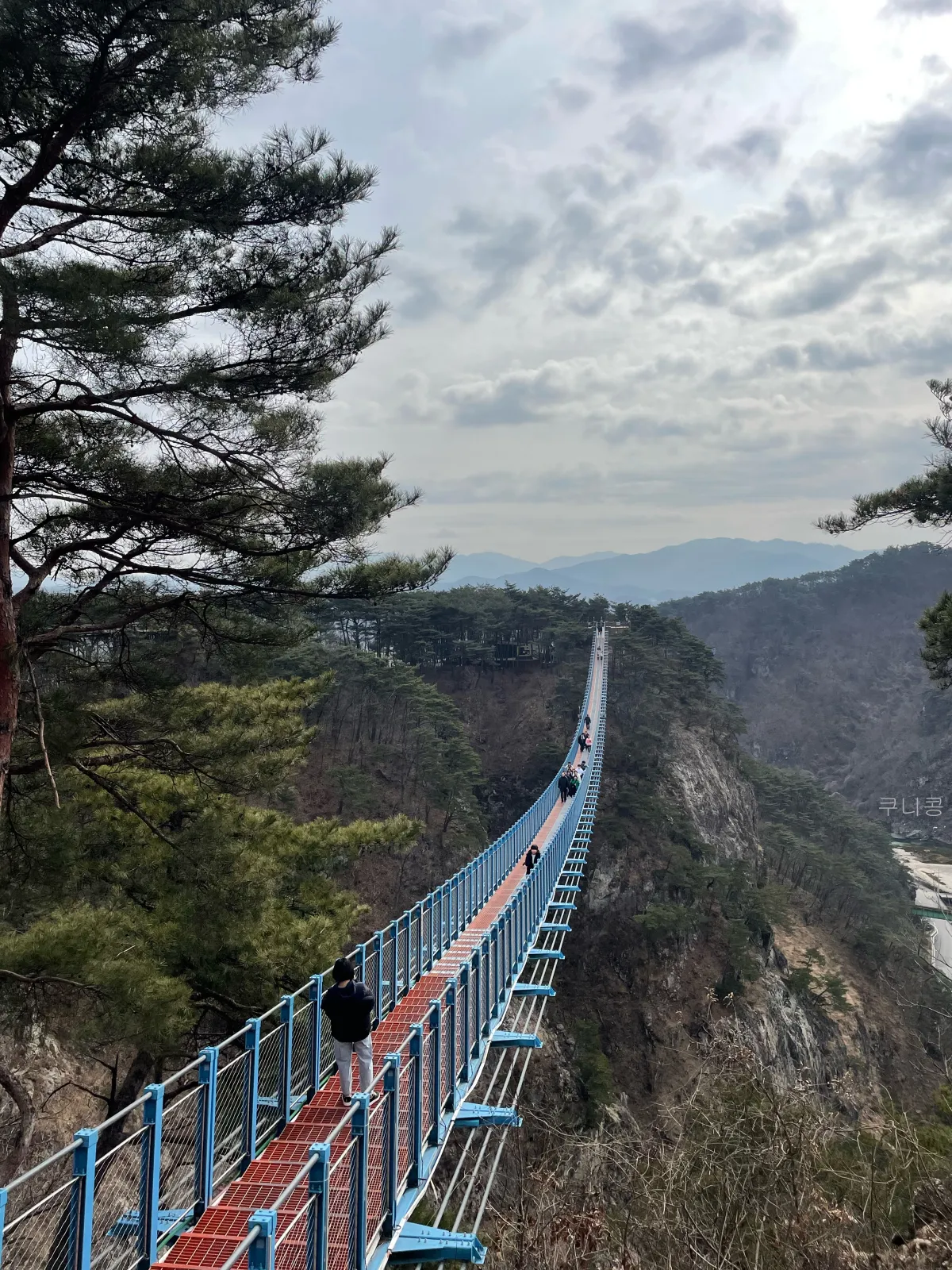 강원도-원주여행-소금산-출렁다리-주말-방문후기-산책로-소요시간,-또-가고싶은-이유