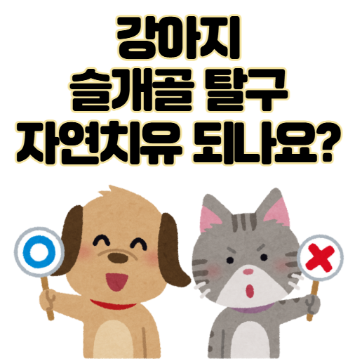 강아지 슬개골 탈구 자연치유 되나요? 보호자의 실수 정리