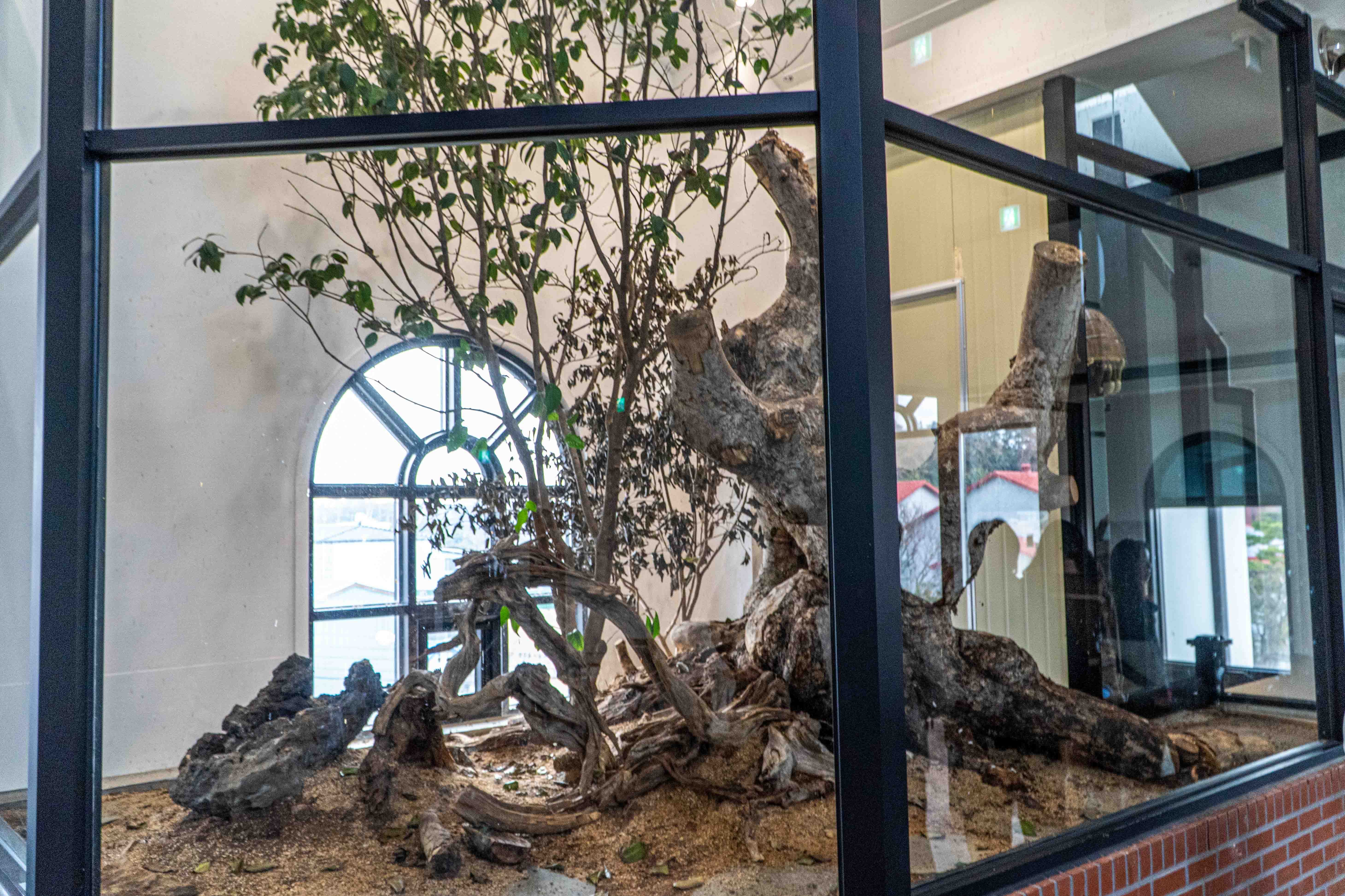 광주 꿀벌 카페 더비