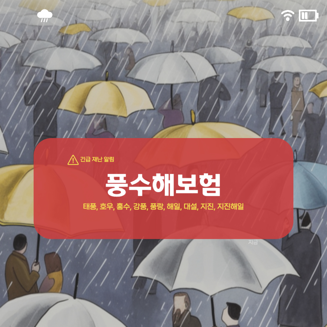 풍수해보험
