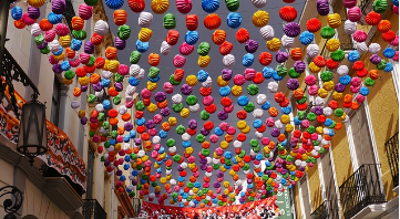 🐪 동물과 함께하는 이색 축제들