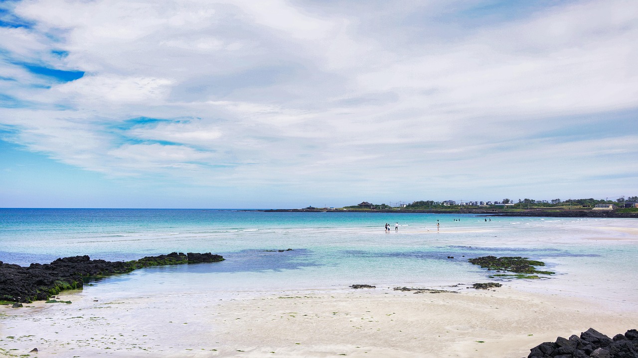 2025 제주푸드앤와인페스티벌