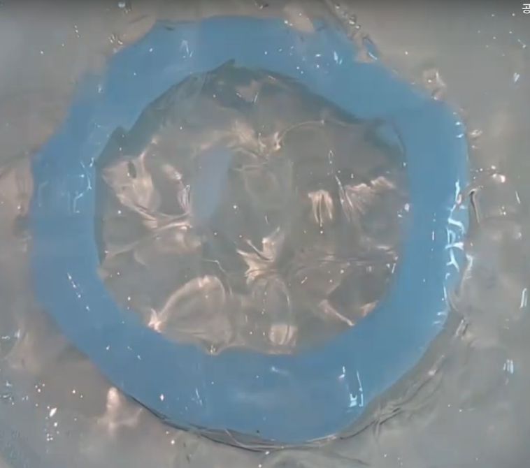 아이스쿨링 넥밴드