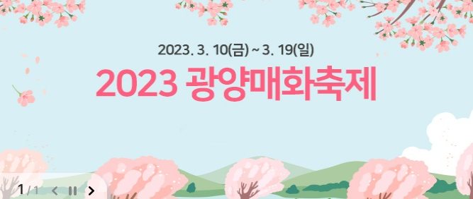 광양 매화 축제