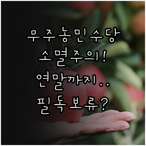 무주군 농민수당 유효기간과 연말 잔액..