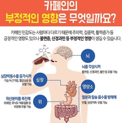 카페인 부작용 중독 증상 두통 원인 정리 정보_7