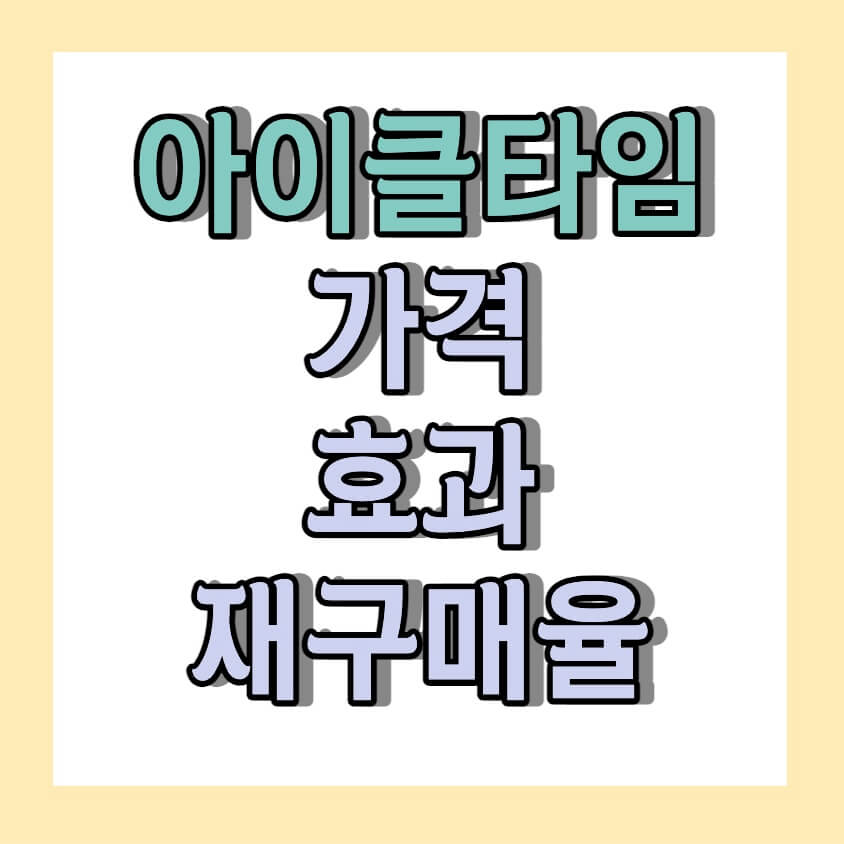 아이클타임 가격