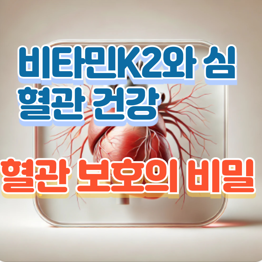 비타민K2 심혈관 건강