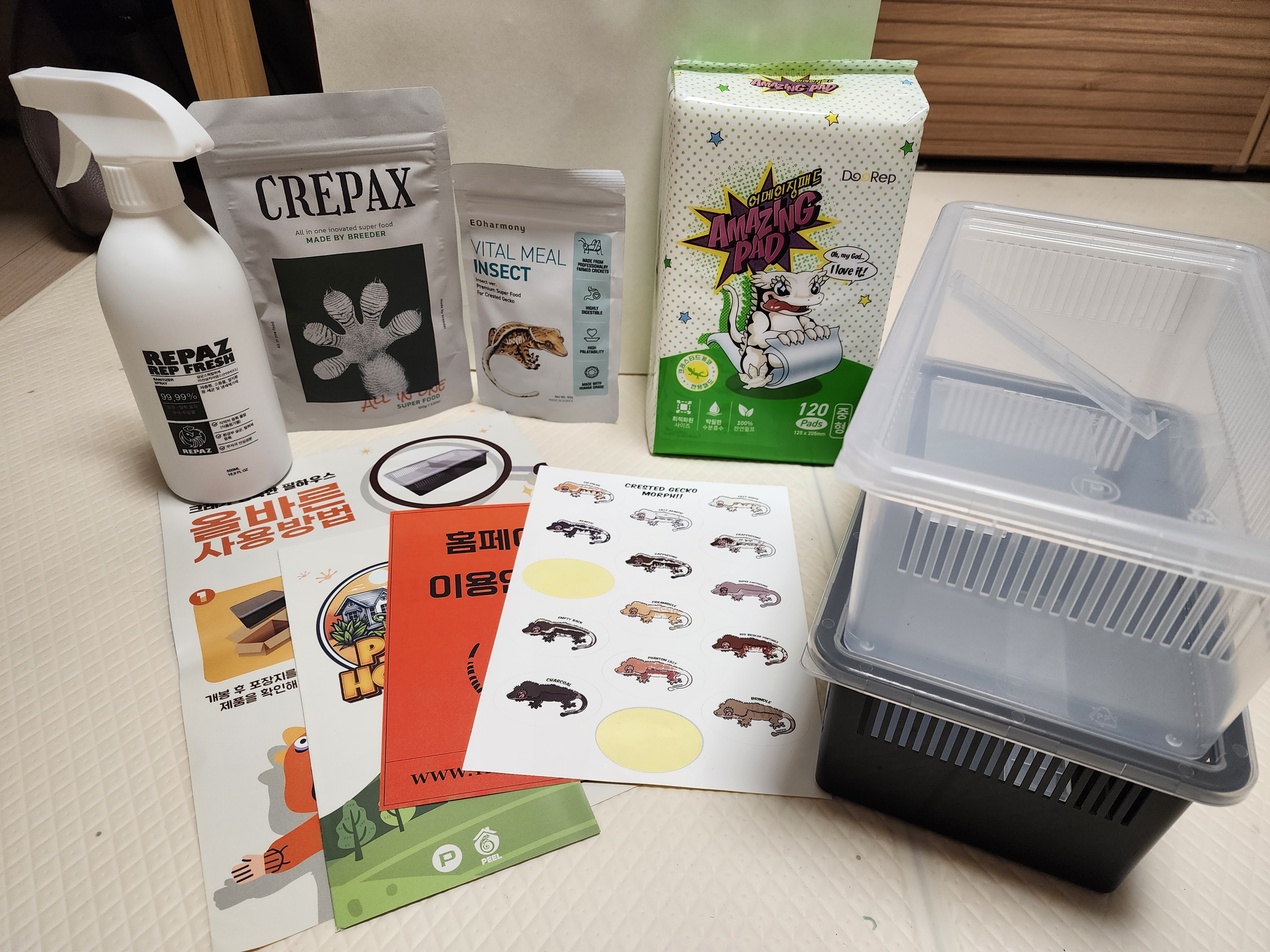 도마뱀-분양받고-받은-많은-사은품