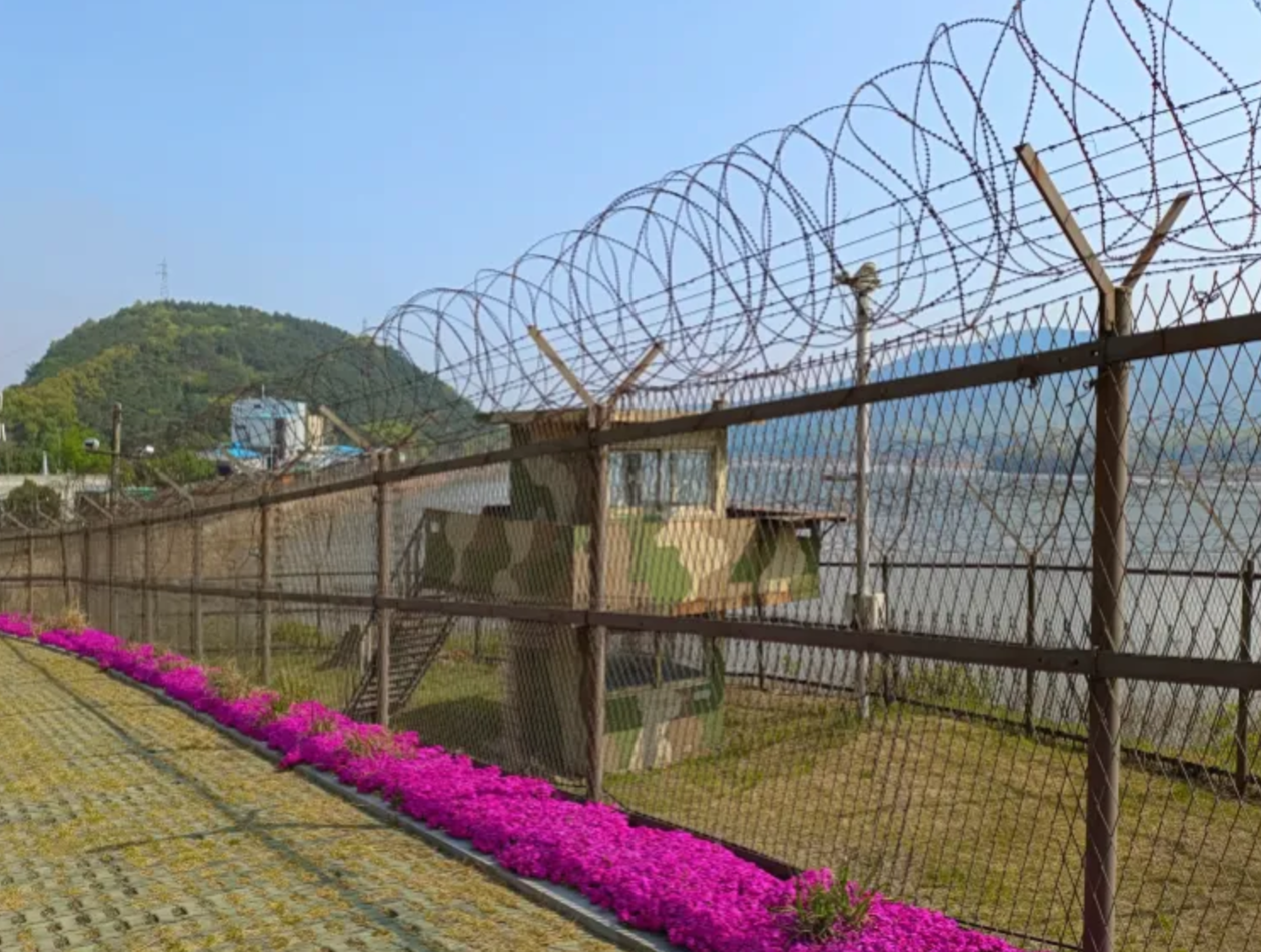 DMZ 지뢰 폭발