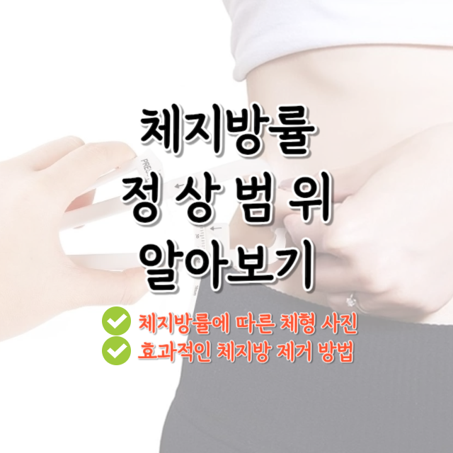 체지방률-정상범위