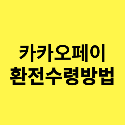 카카오페이 환전