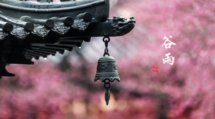 계절의 변화를 세분화한 24 절기 중 '곡우' 이해하기