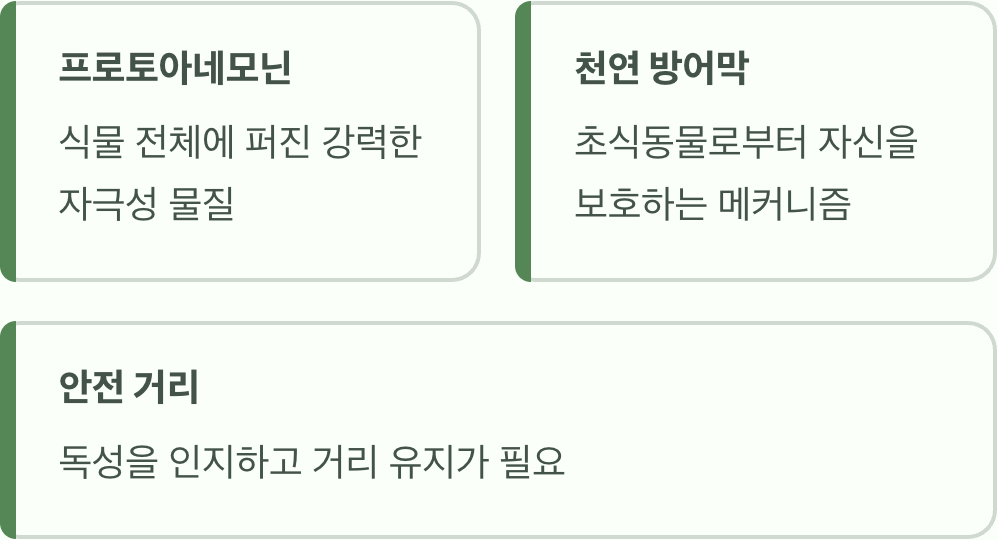 아름다움 속에 숨겨진 독의 정체