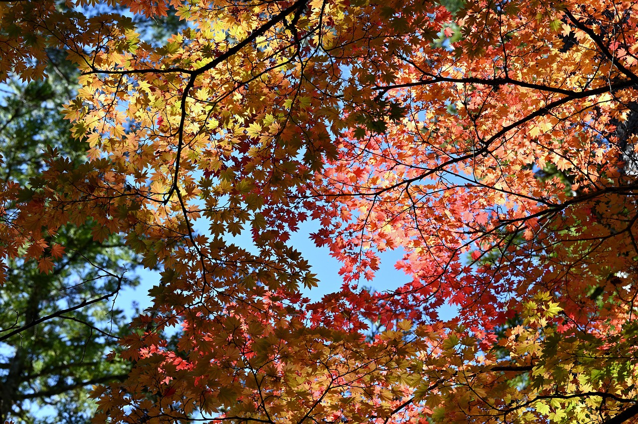 등산
