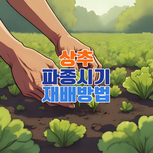 상추 파종시기와 재배법 총정리 – 초보자도 쉽게 키우는 상추 심는법