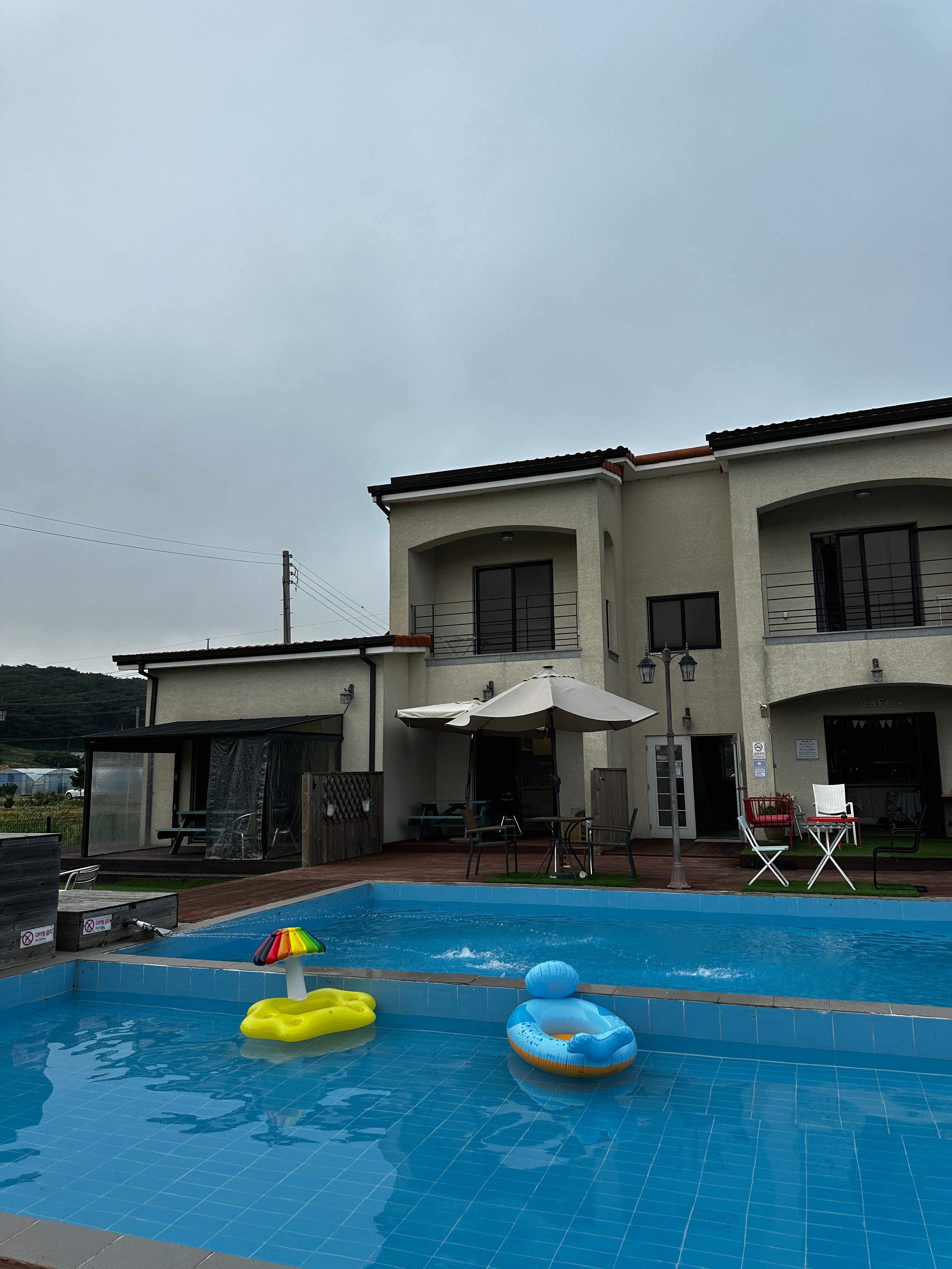 골드독 애견펜션 수영장 안에 강아지들이 탈수있는 튜브가 2개떠있음