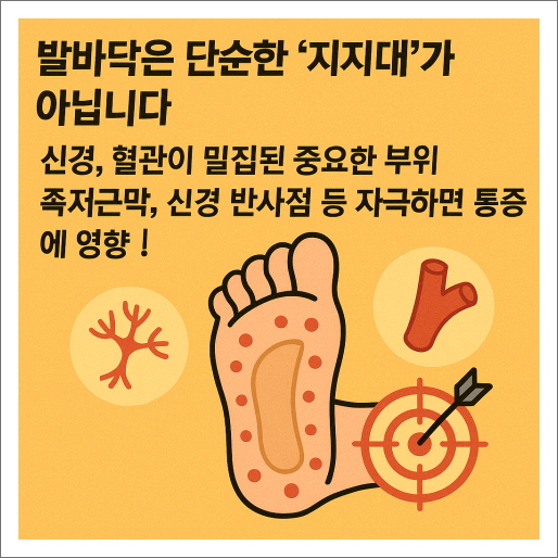 발바닥은 단순한 ‘지지대’가 아닙니다
