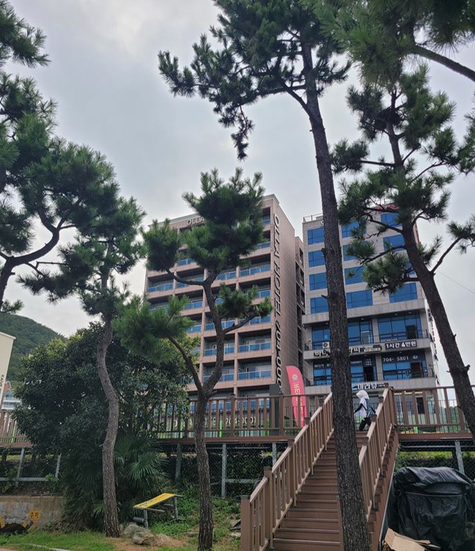 부산 송정 가족여행 올라호텔