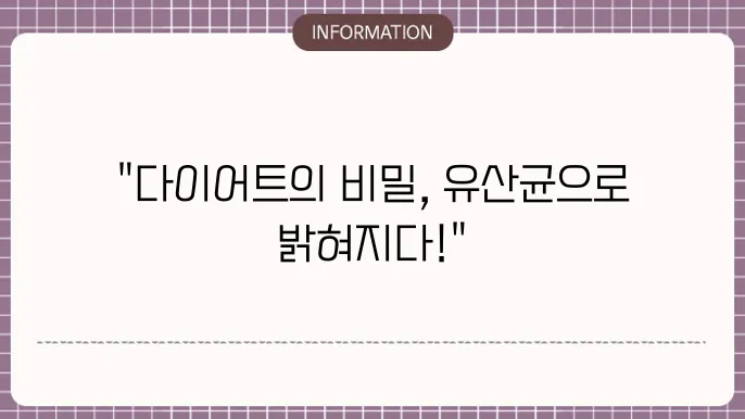 뉴트리원 비비랩 다이어트 유산균