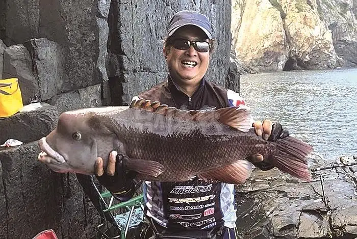 먹자 포구 돌돔 자연산 대물 돌돔회 전남 순천 맛집 추천