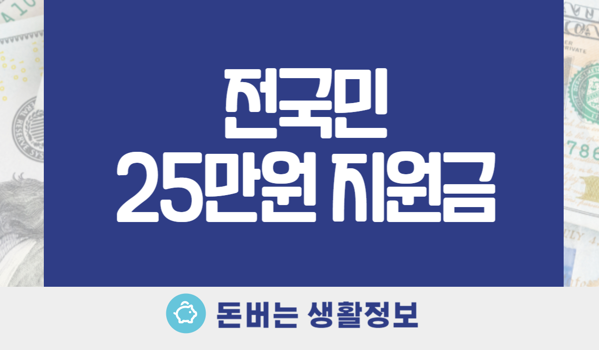 전국민 25만원 지원금