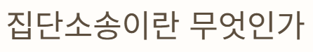 집단소송이란?