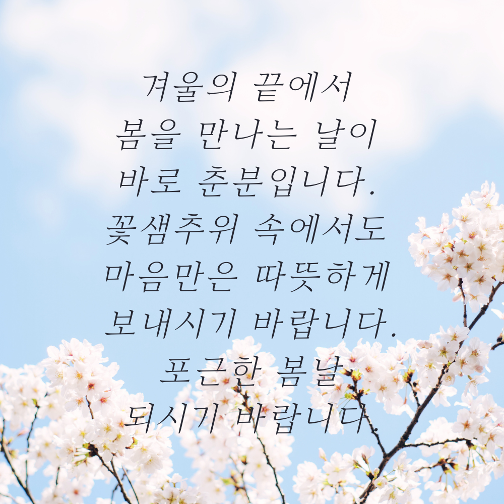 춘분 인사말 봄 안부 인사글귀 좋은 3월 인사이미지 문구 모음