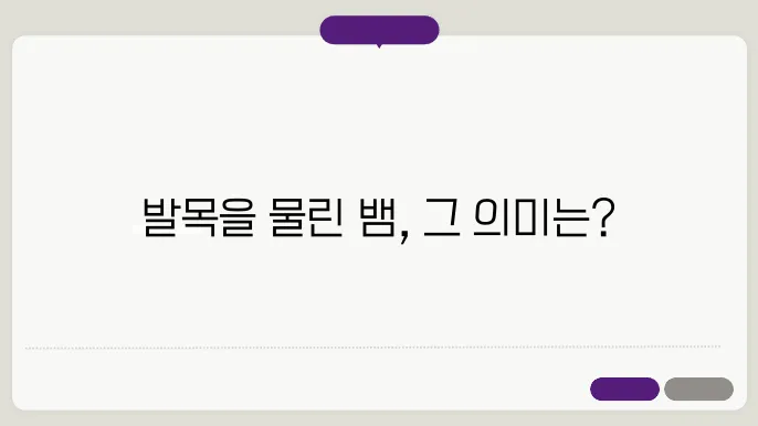 뱀에주 발 물리에 날직