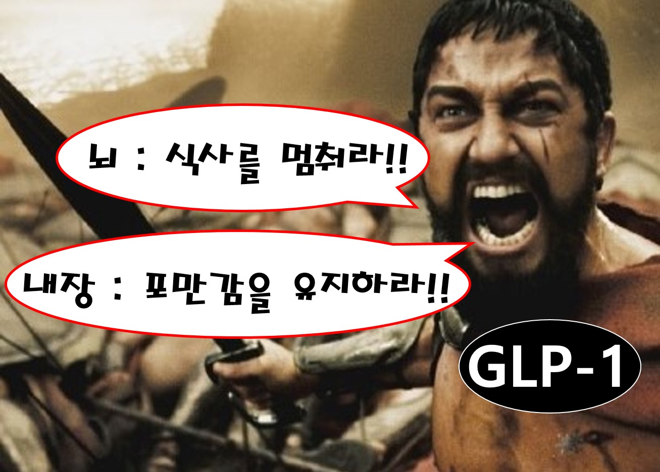 다이어트약