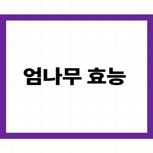 엄나무(음나무) 효능 완벽 정리 —개두릅·해동피·관절·항암부위별 효능·먹는법·부작용까지