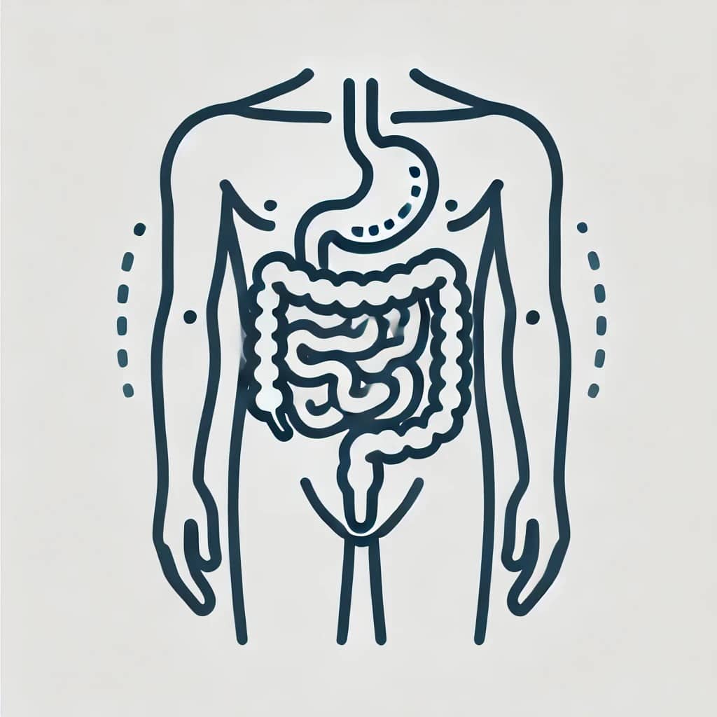 건강기능식품의 프리바이오틱스