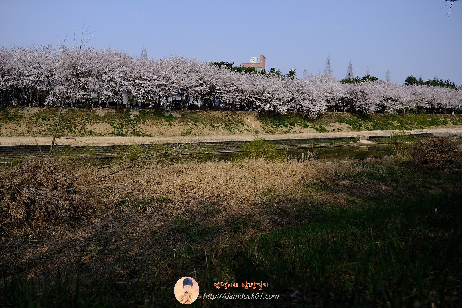 황구지천