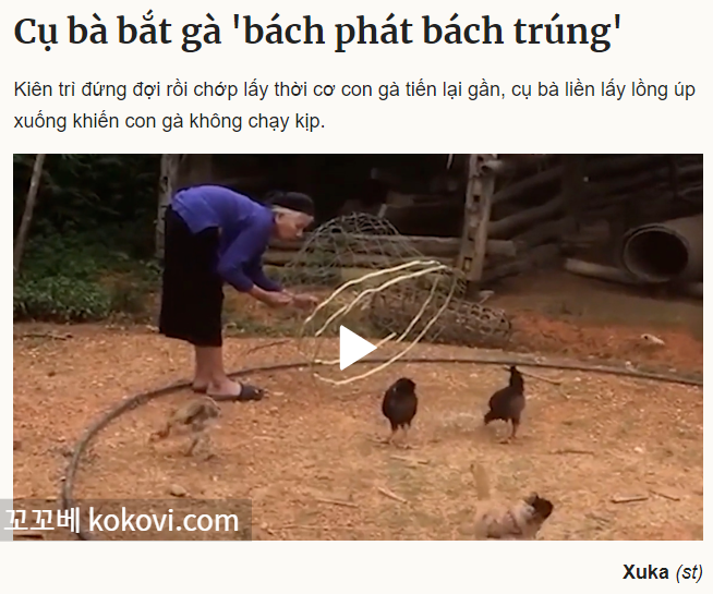 "밧 팟 밧 쭝" 닭 잡는 할머니