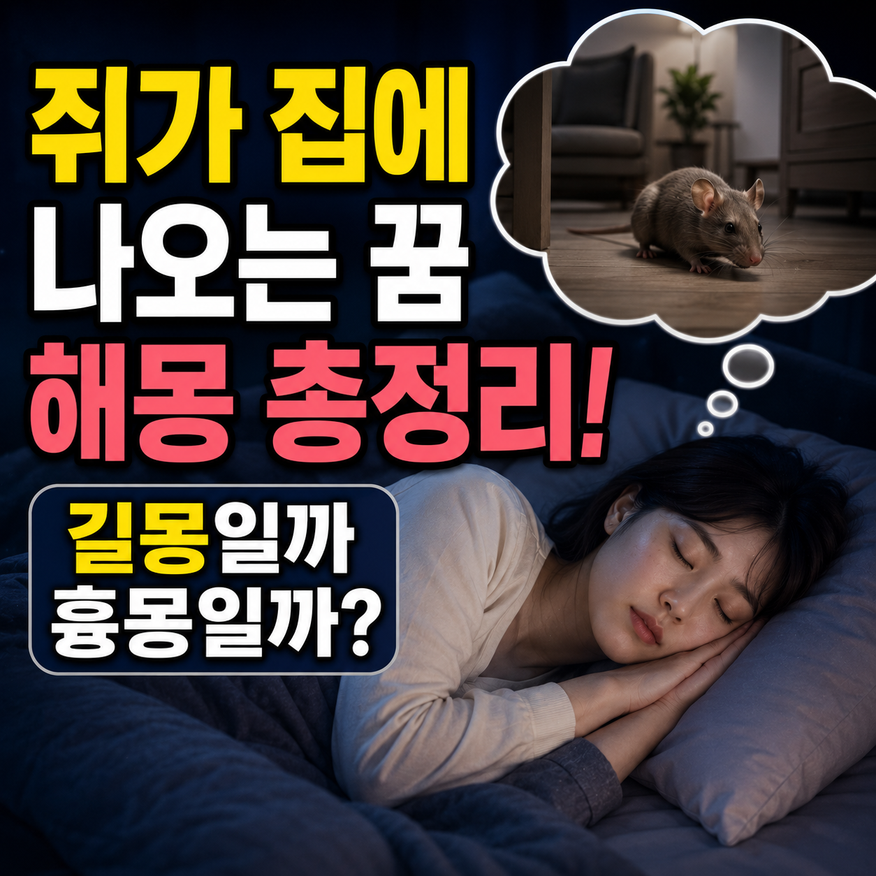 쥐가 집에 나오는 꿈