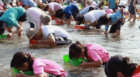 [6시 내고향] 남원 요천다슬기체험마을 다슬기체험 신청 정보