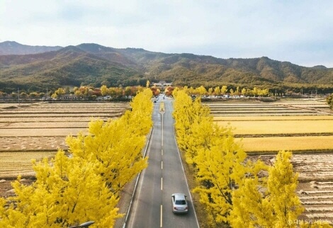 경상도 단풍 명소 TOP 7 : 2025 가을 절정 시기 & 여행 코스 총정리
