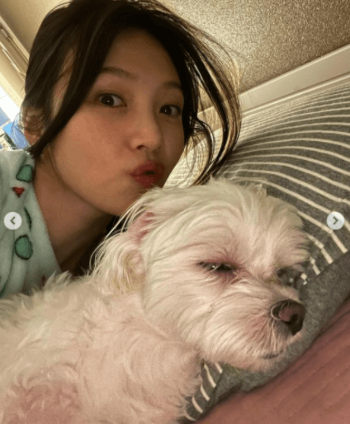 조이-잠옷-반려견-강아지