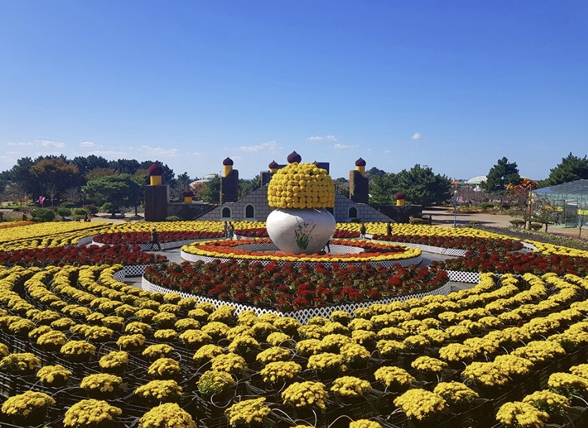 전국 가을 꽃 축제 추천 BEST